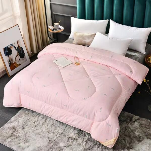 Summer Blanket Thickened Silk Floss Winter Duvet Insert - Image 2