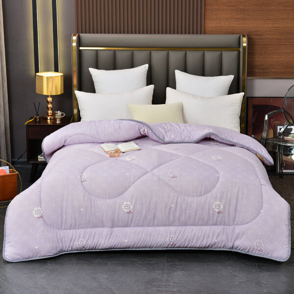 Summer Blanket Thickened Silk Floss Winter Duvet Insert - Image 8