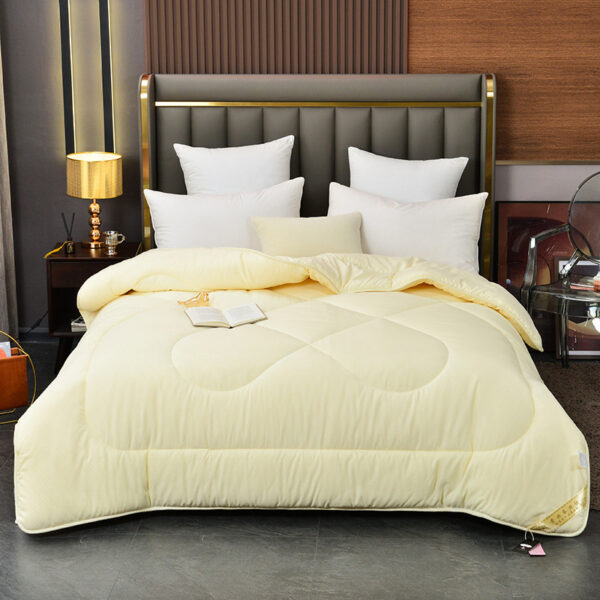 Summer Blanket Thickened Silk Floss Winter Duvet Insert - Image 3