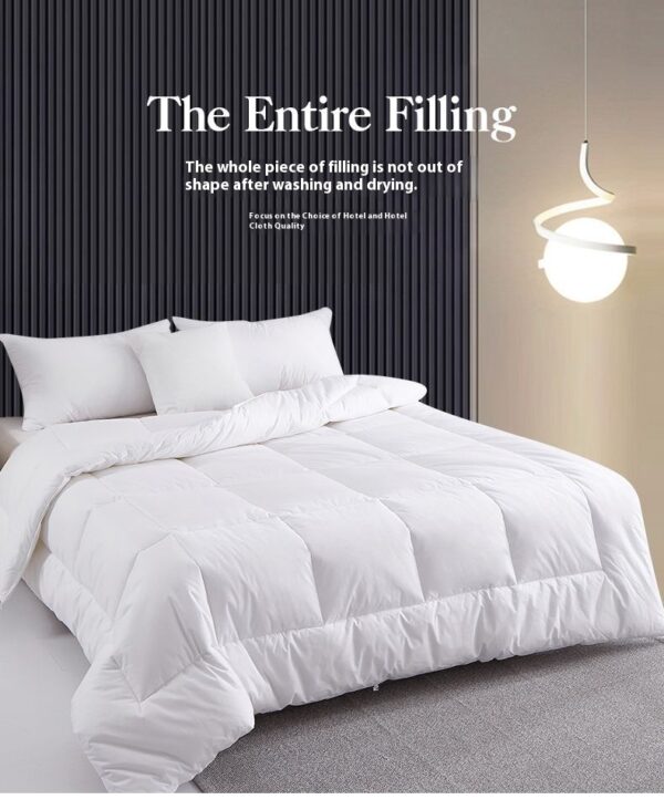 Chemical Fiber Bed & Breakfast Hotel Duvet Insert Thick Feather Velvet Quilt - Image 7