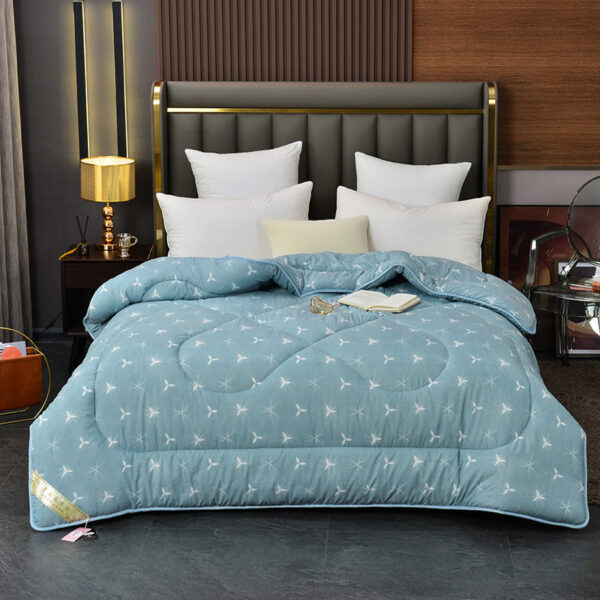 Summer Blanket Thickened Silk Floss Winter Duvet Insert - Image 5