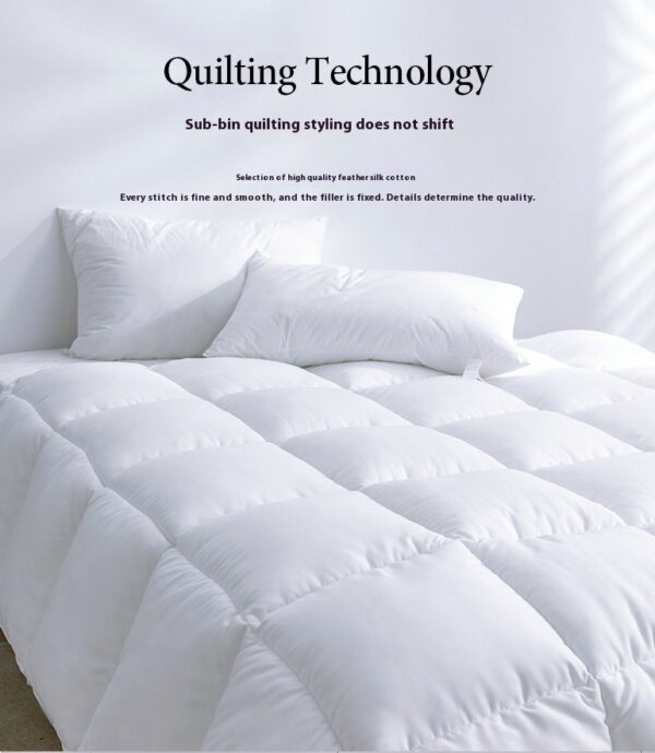 Chemical Fiber Bed & Breakfast Hotel Duvet Insert Thick Feather Velvet Quilt - Image 6
