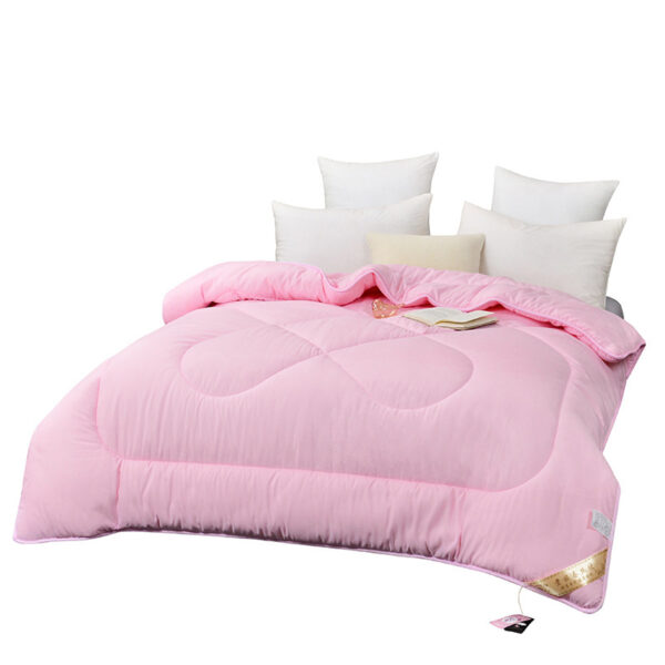 Summer Blanket Thickened Silk Floss Winter Duvet Insert - Image 4